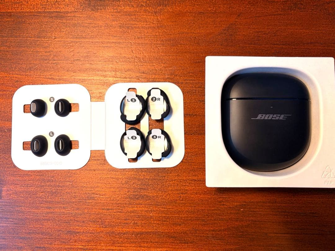 Bose QuietComfort Ultra Earbuds (第1世代)本体