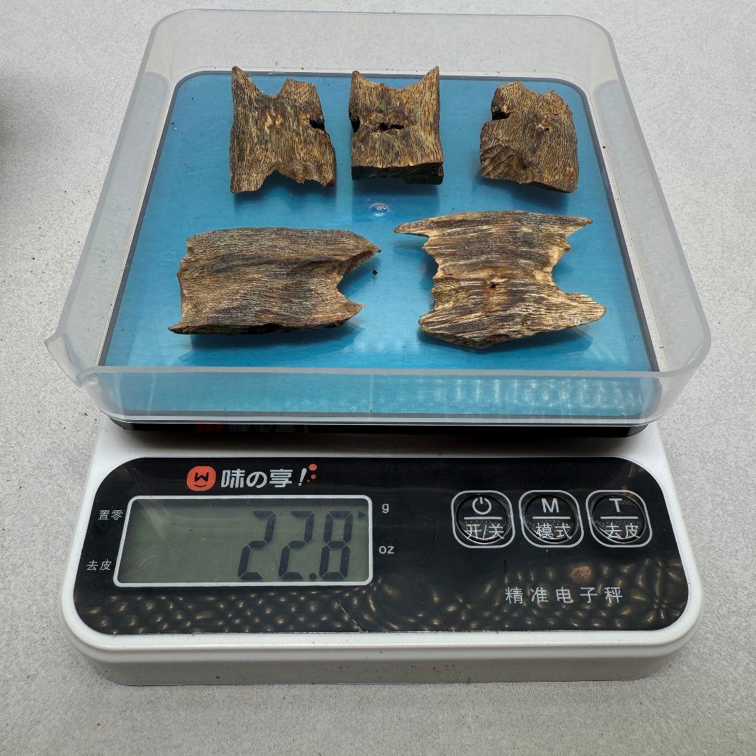 L010 極上伽羅 沈香 香木 重い22.8g