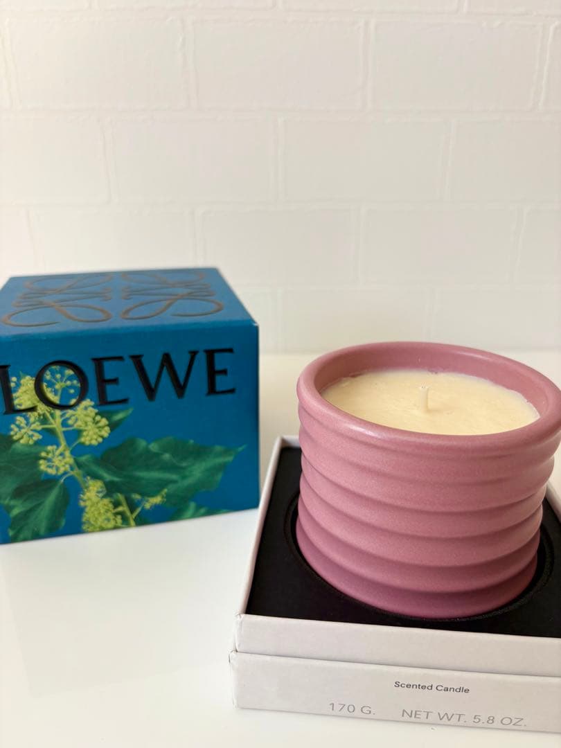 【美品・未使用】LOEWE アイビーキャンドル　CANDLE　ロエベ