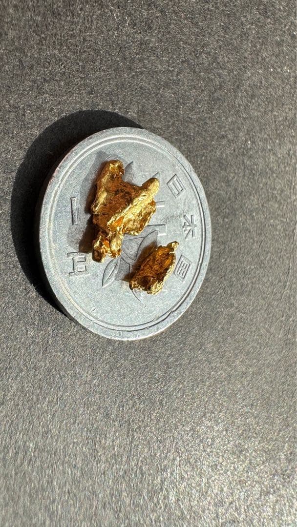 砂金　大粒　観賞・資料用