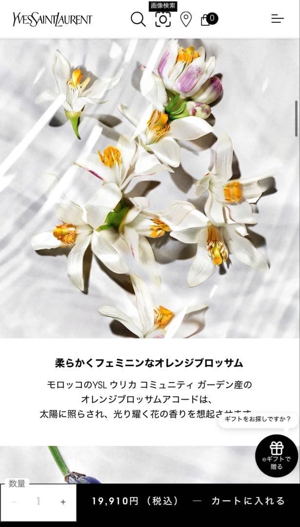 【新品】イヴ サンローラン リブレローニュ 香水 オーデパルファム 50ml