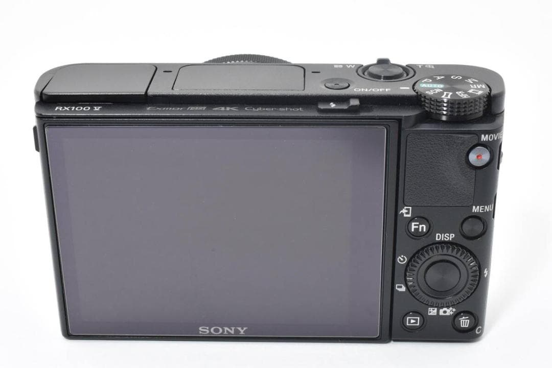【美品】SONY DSC-RX100M5 動作確認済み #M30