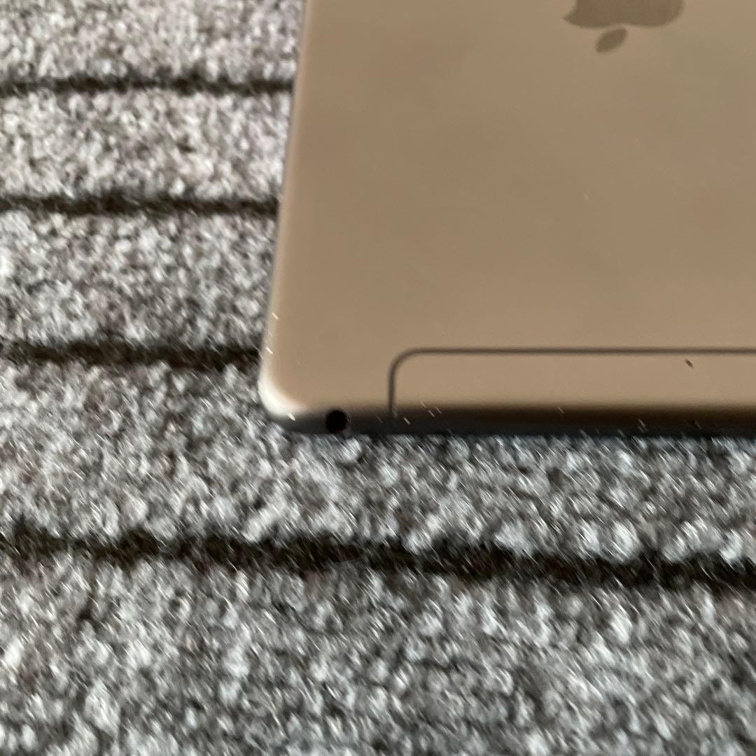 30 【早い者勝ち】 iPad mini5 5世代 64GB スペースグレイ