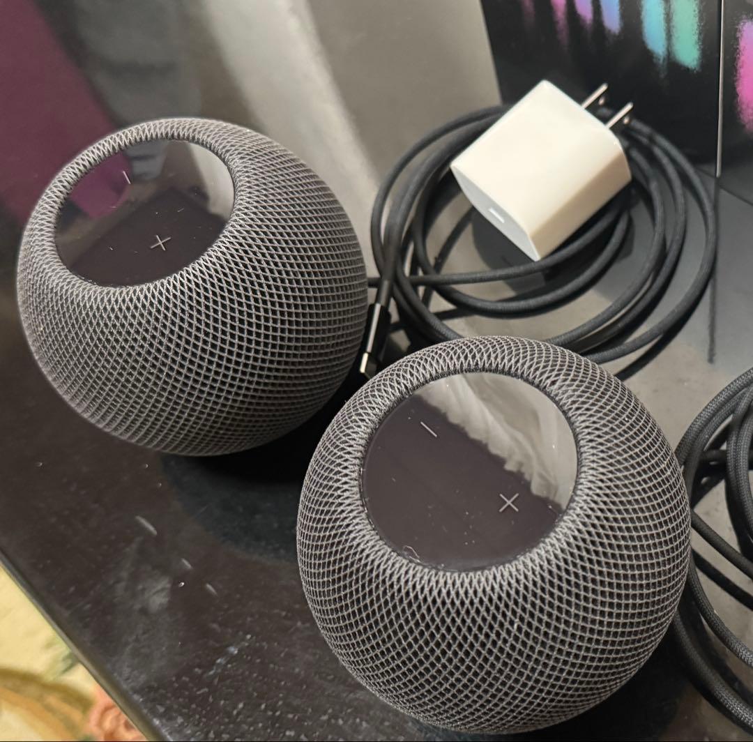 T*a様 APPLE Pod Mini スペースグレイ 2個セット