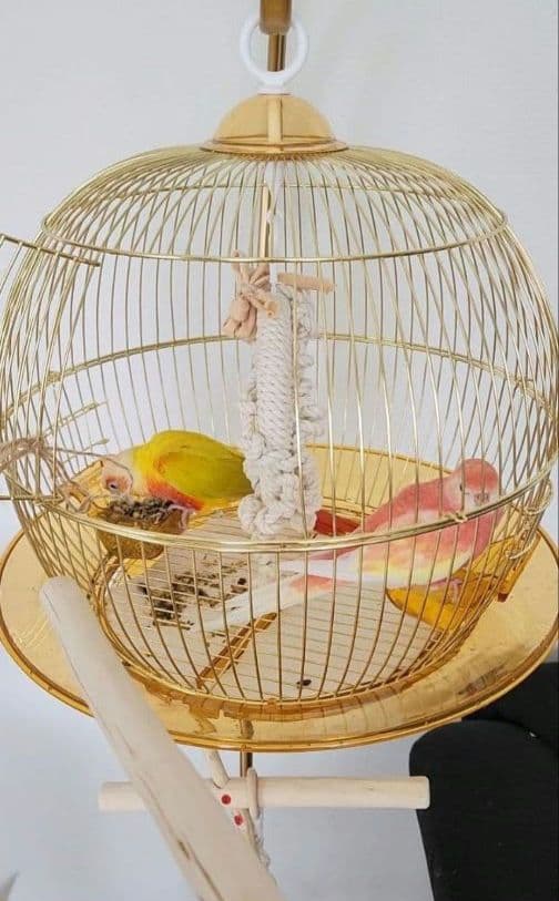 鳥かご スタンド ケージ インコ フラワースタンド ハンガースタンド