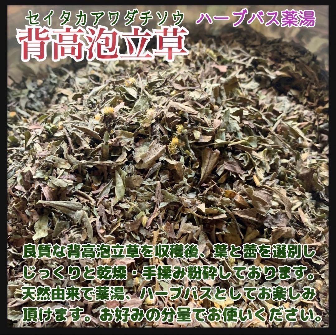 【素材パック】背高泡立草 大容量1kg セイタカアワダチソウ 薬湯 天然素材