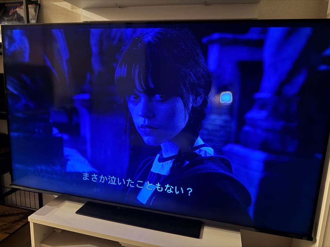 REGZA55インチテレビ　2023モデル