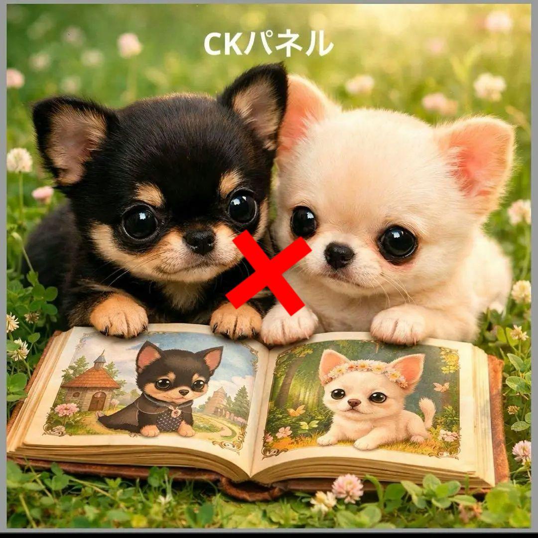激レア絵本を読むポメラニアン、柴犬、パグ、マルチーズ、トイプー、チワワパネル