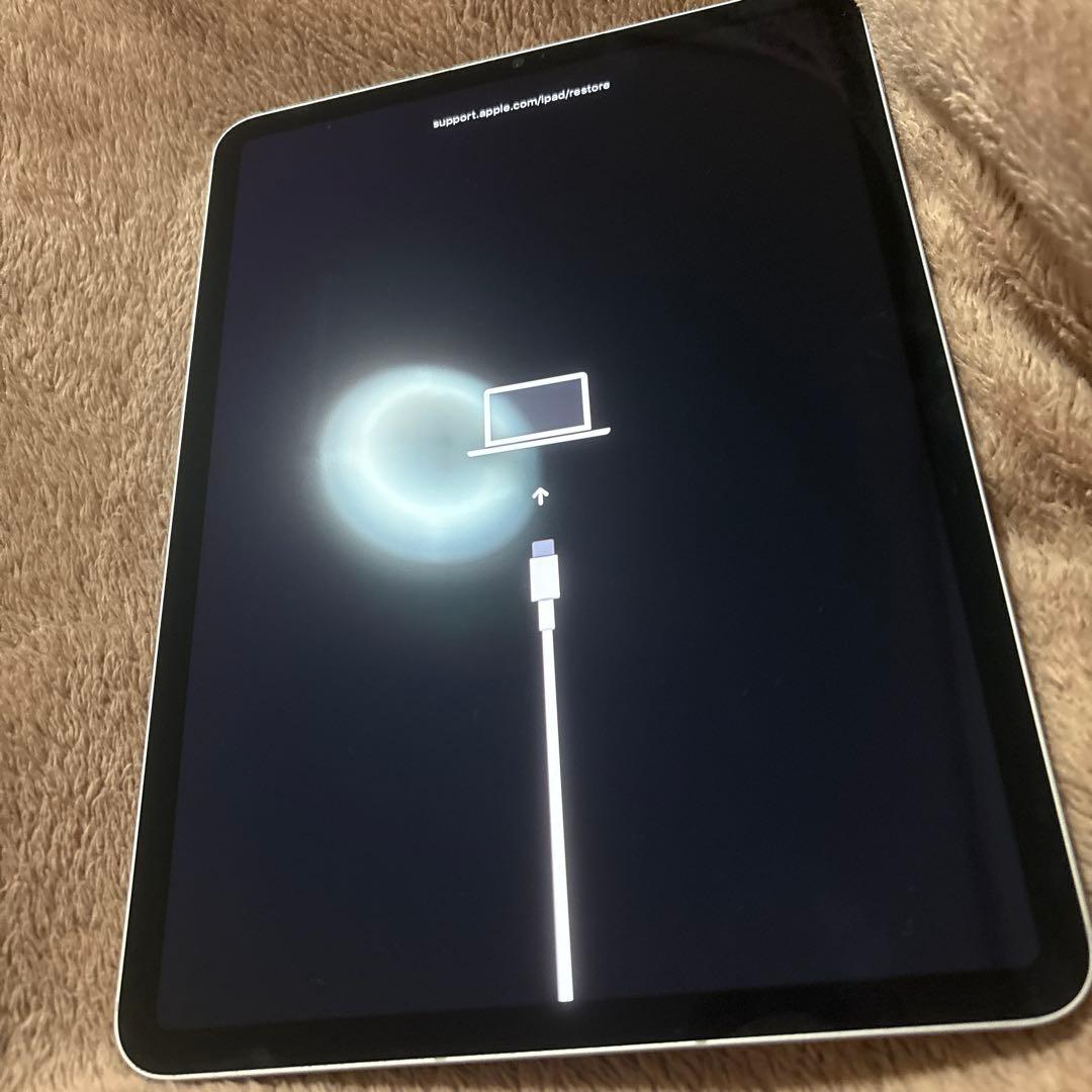 青団子ジャンク品 Apple iPad Pro シルバー 本体