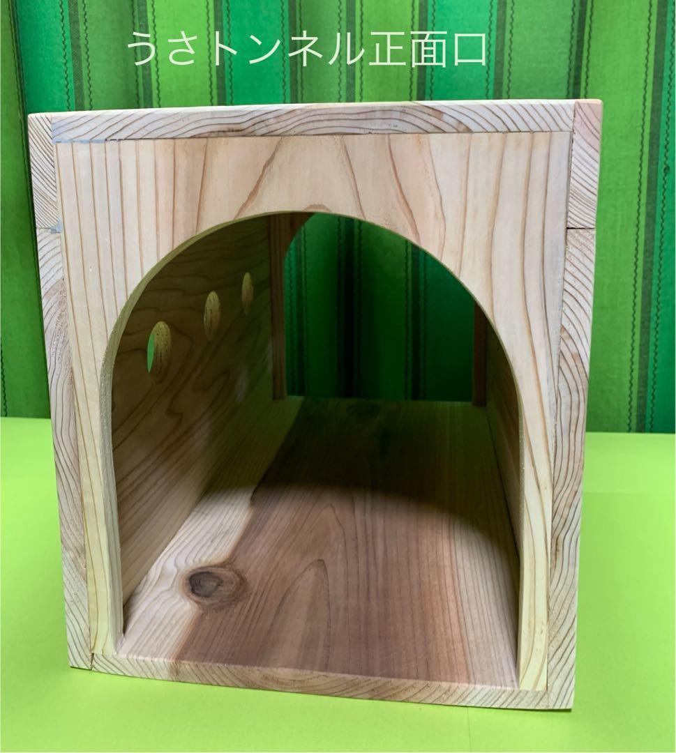 うさぎハウス&うさトンネル sigeta19 (310)