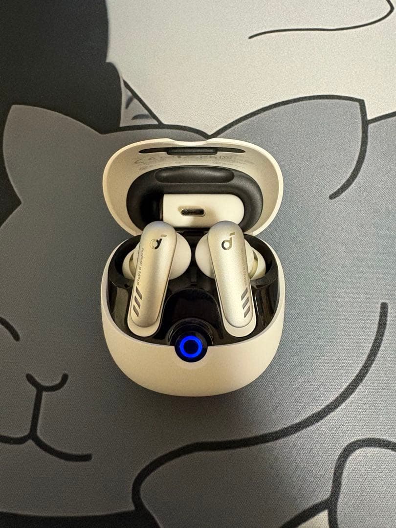 イヤホン Anker Soundcore VR P10