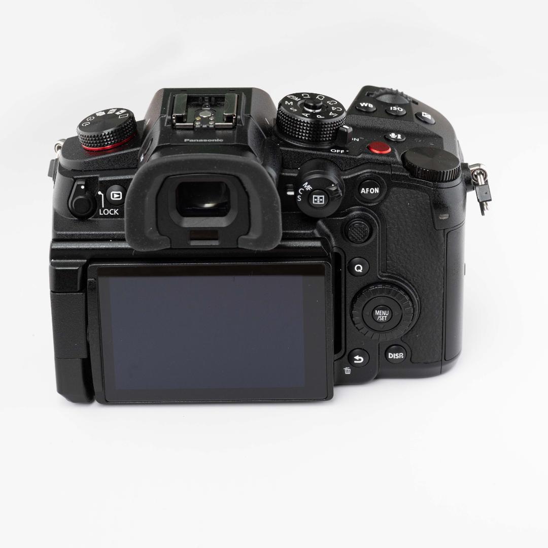 LUMIX GH6 Neewerケージ・サイドグリップ付