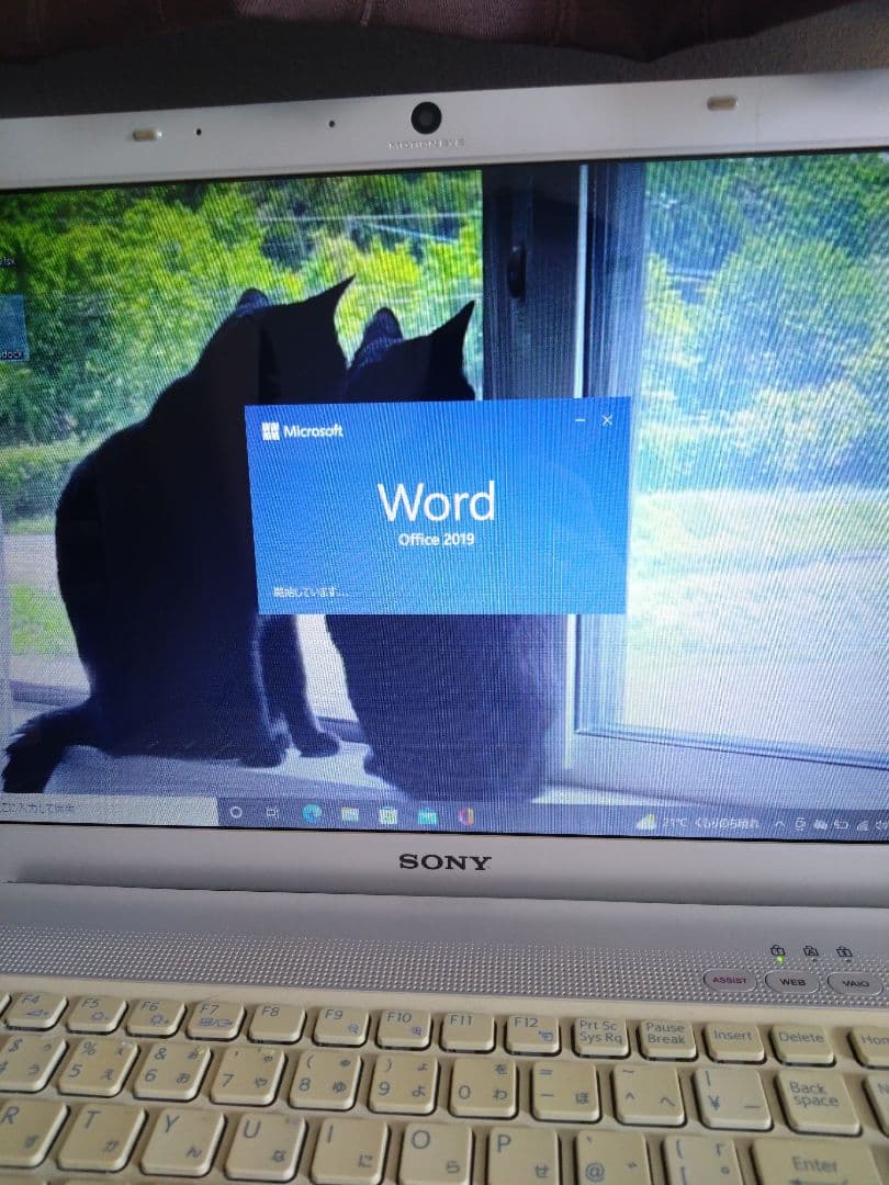 SONY VAIO Office 2019搭載 Windows10 Pro