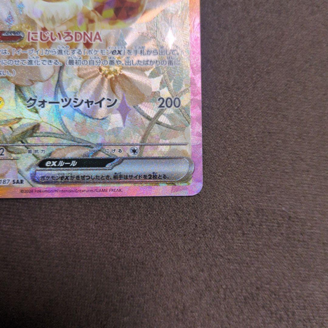 イーブイex 　SAR テラスタルフェス まとめ売り