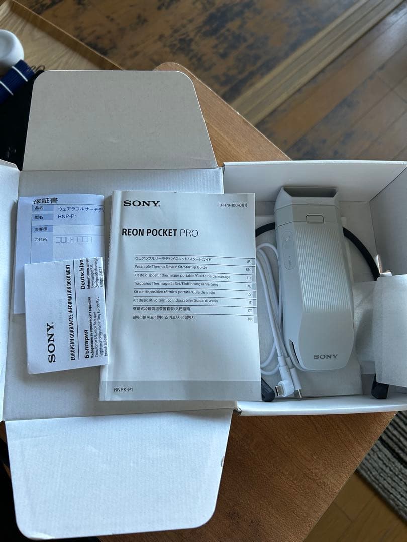 早い者勝ち　美品　SONY REON POCKET PRO