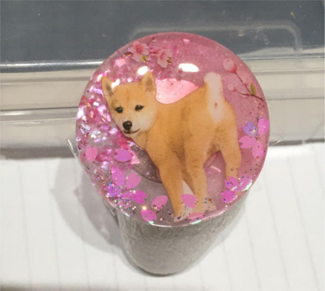 レジンヘアゴム、振り向き柴犬くん٭❀*桜の下で٭❀*
