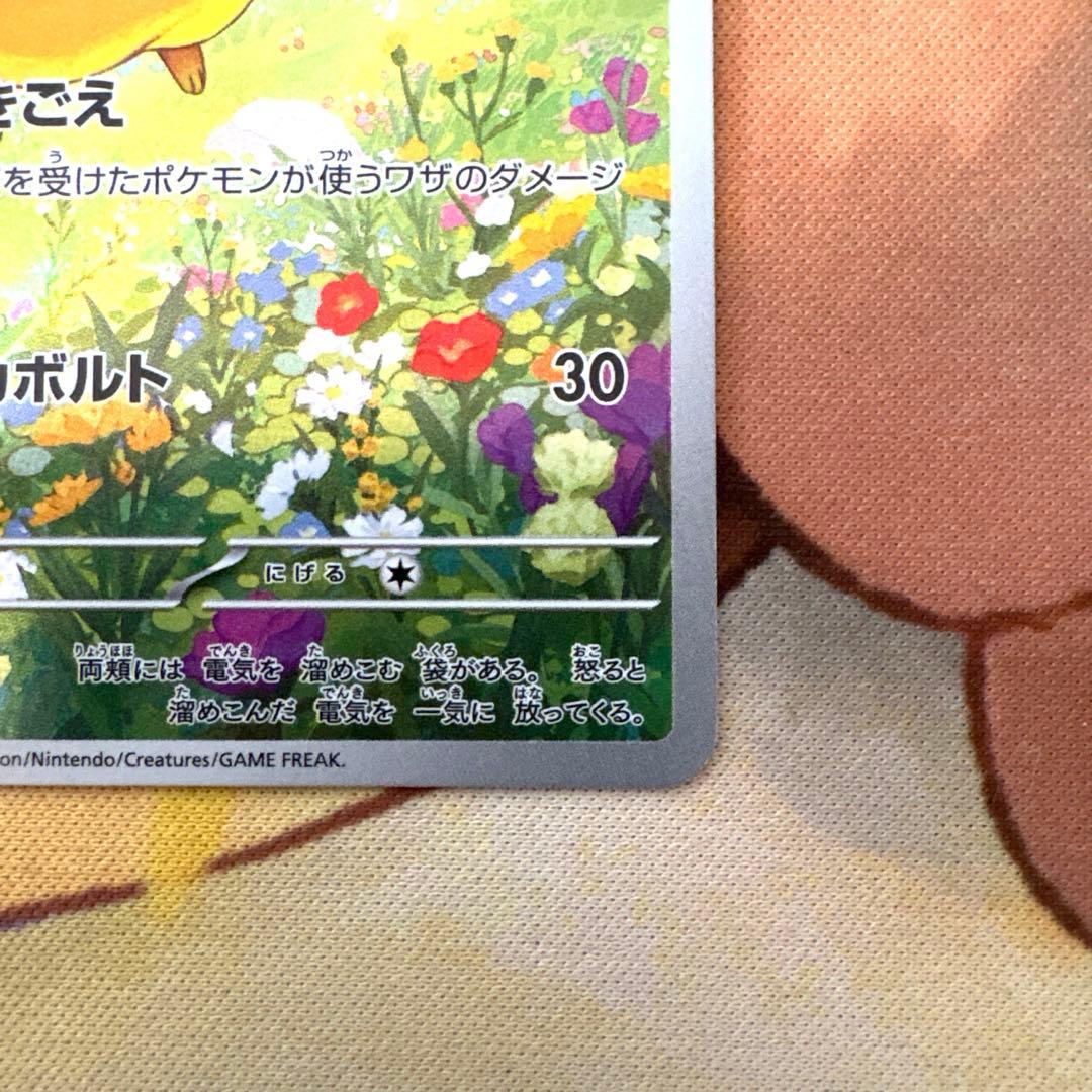 ポケモンカード　ピカチュウ：ポケカの夏がキタ！プロモカードGetキャンペーン！