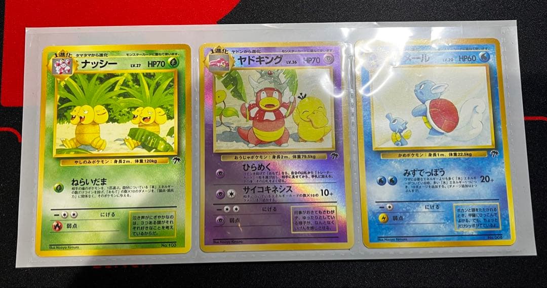 【旧裏】サザンアイランド　トロピカルアイランド〜ジャングル〜　ポケモンカード