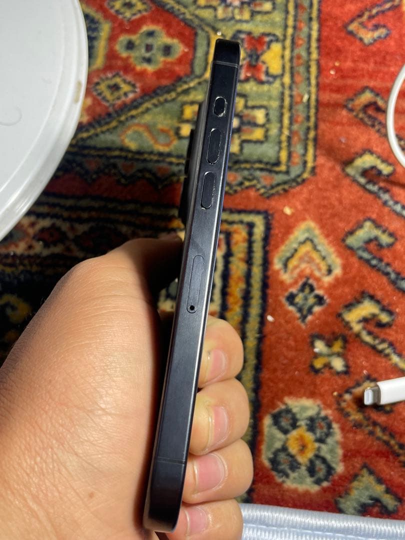 Apple iPhone15 Pro ジャンク品 部品取り用 本体