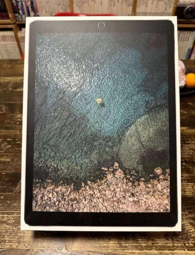 Apple iPad Pro Wi-Fiモデル 128GB 第1世代 タブレット