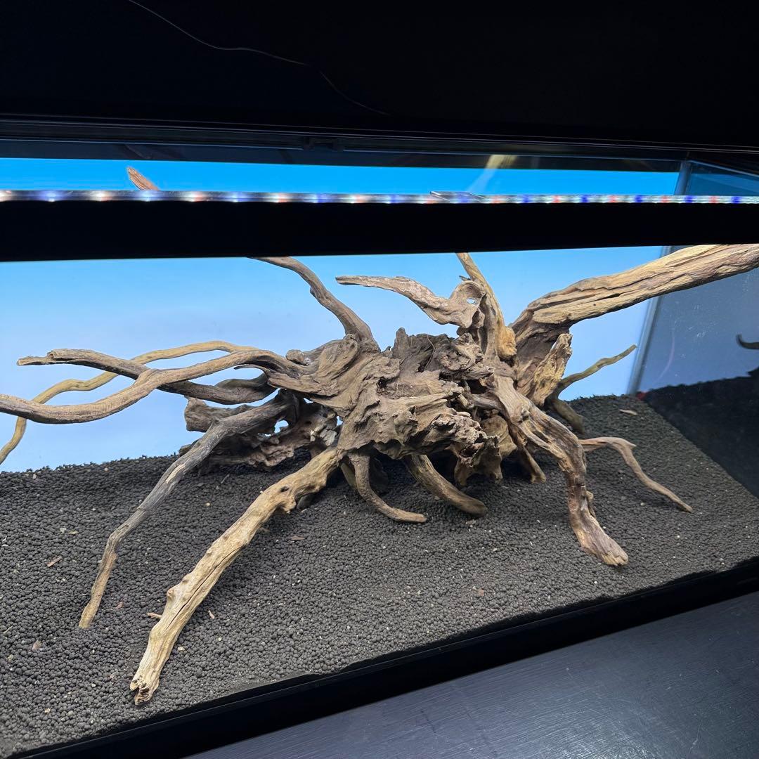 MSRW-7358 天然流木レイアウトセット　90cm水槽用　スリムウッド　流木
