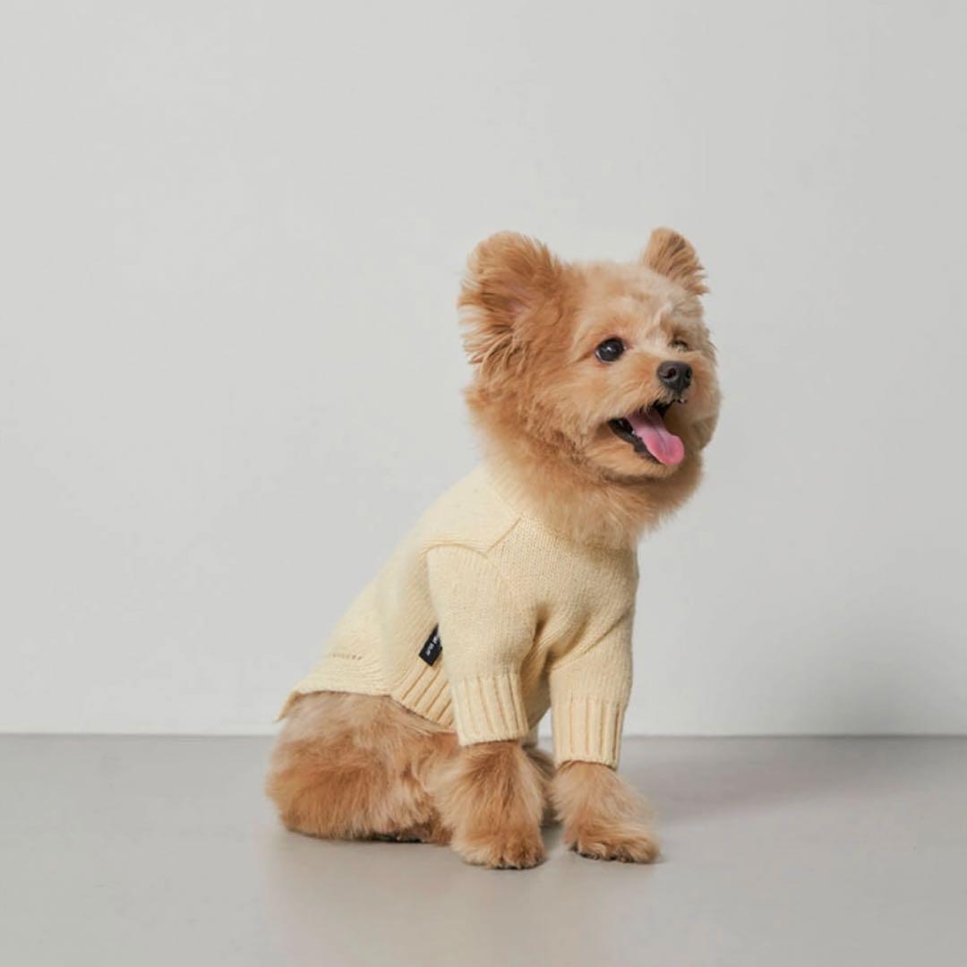 【small stuff】 韓国 LAMBSWOOL SWEATER LEMON
