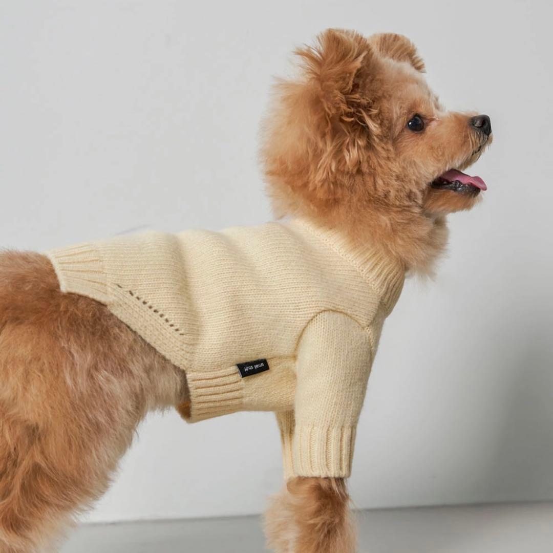 【small stuff】 韓国 LAMBSWOOL SWEATER LEMON