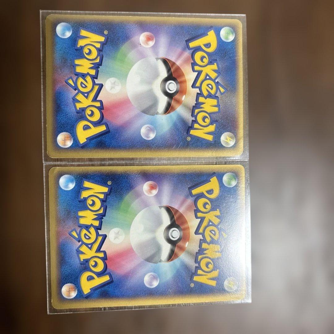 ポケパークのピカチュウ　2点セット