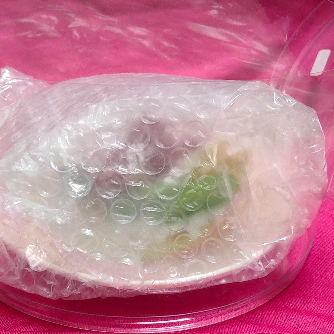 芸術品！日本の匠技！食品サンプル（しっとり感！フルーツパンケーキ）
