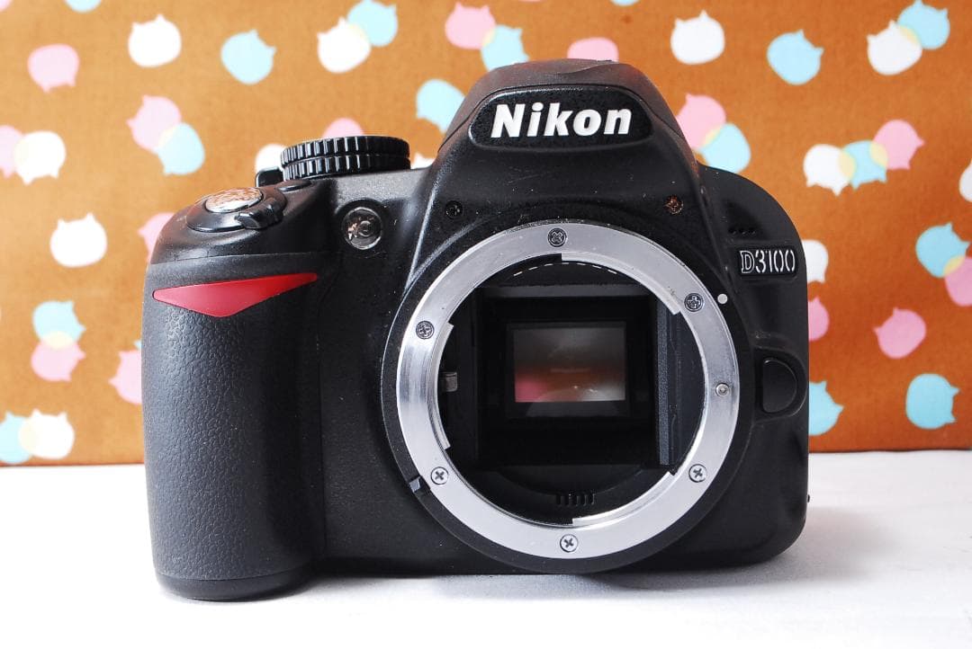 ✨お買い得✨初心者オススメ✨Nikon D3100 レンズセット