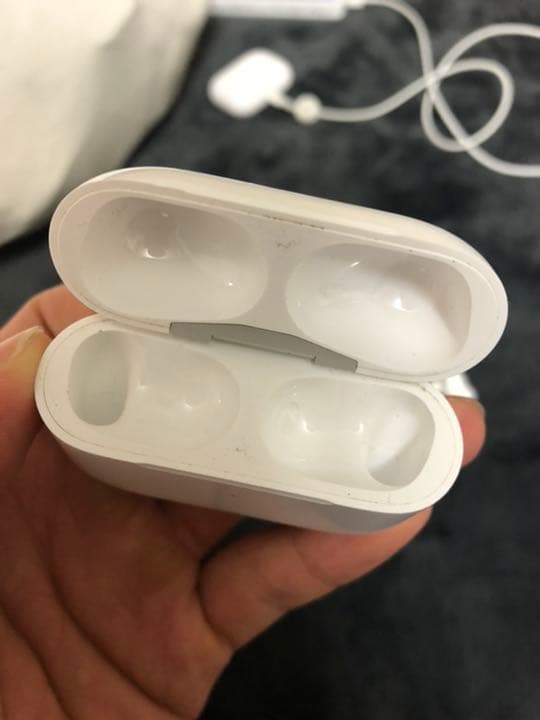 Apple AirPods Pro ケースのみ