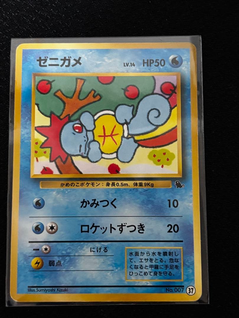 【希少/渦巻きホロ有】かえんリザードン＆カメックス 進化セット
