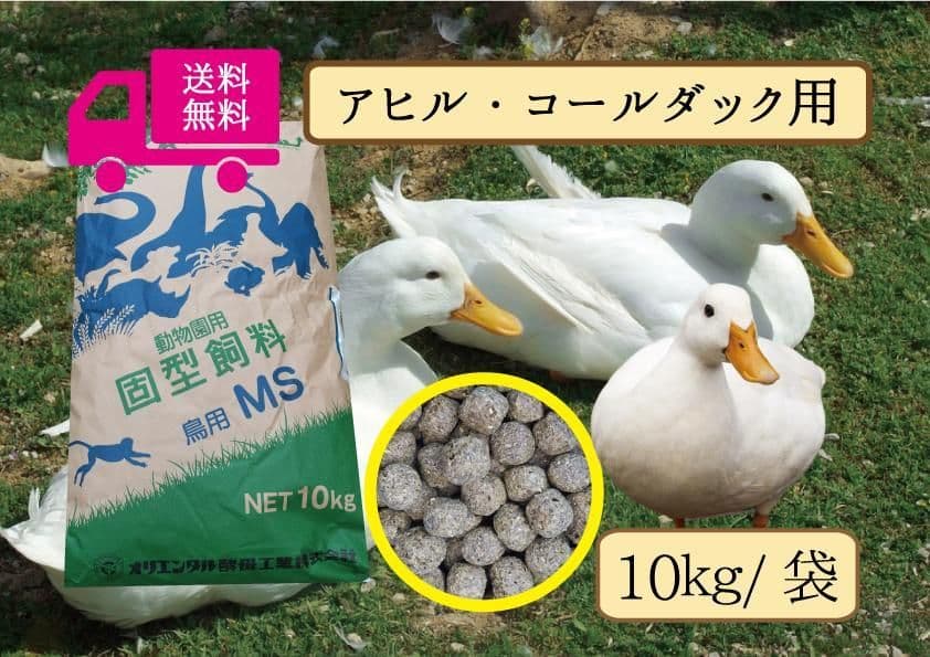 アヒル、コールダック用飼料　10kg オリエンタル酵母工業ms