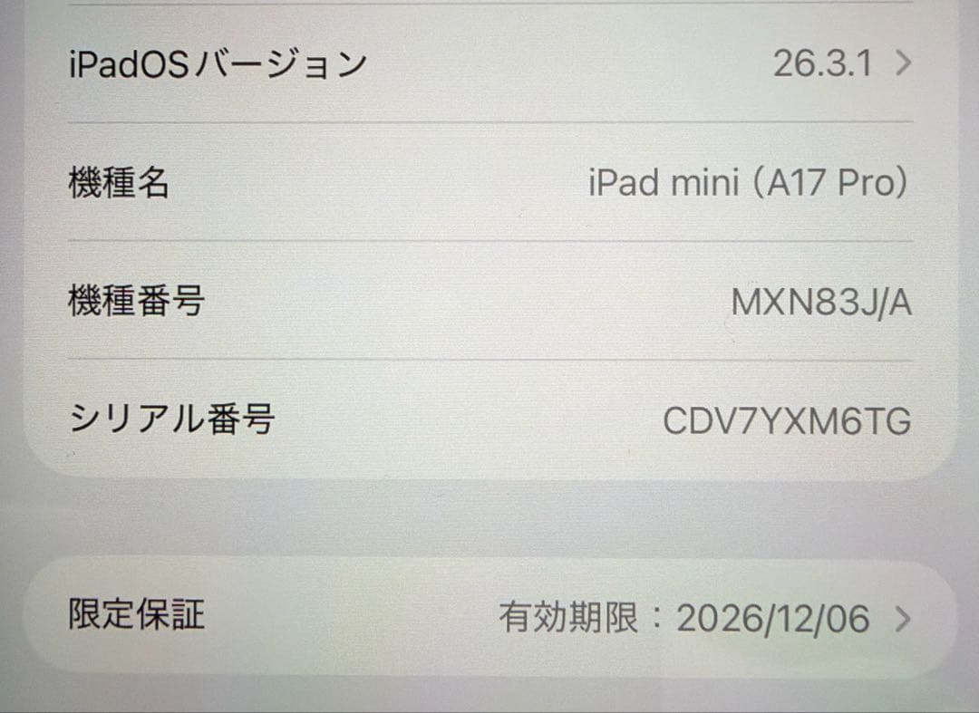 iPad mini 7 Wi-Fi 128GB バッテリー100% ケース付
