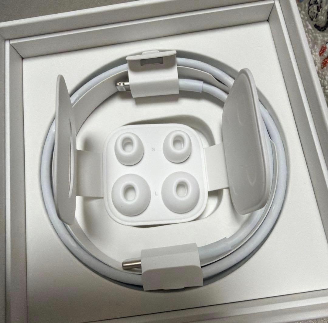 AirPods Pro 初代　本体