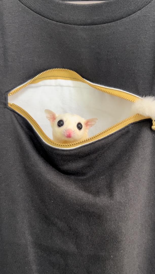 フクモモ専用Tシャツ×２枚【しのページ】
