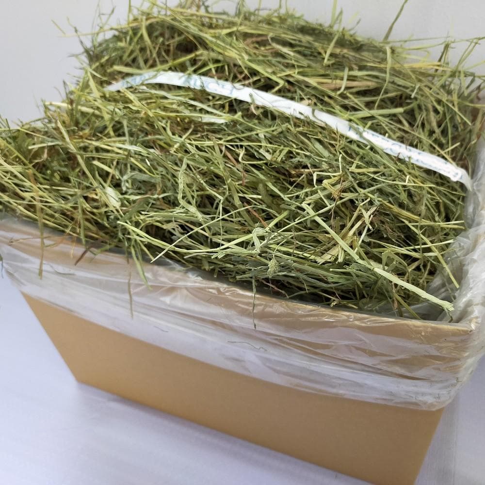 【11/10まで】US産 チモシー 30kg ２番刈り ソフトSプレミアム