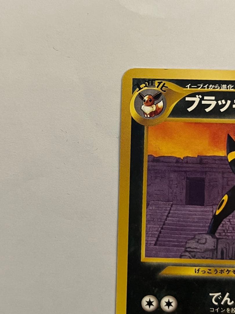 ブラッキー_プレミアムファイル2 ポケモンカード　旧裏