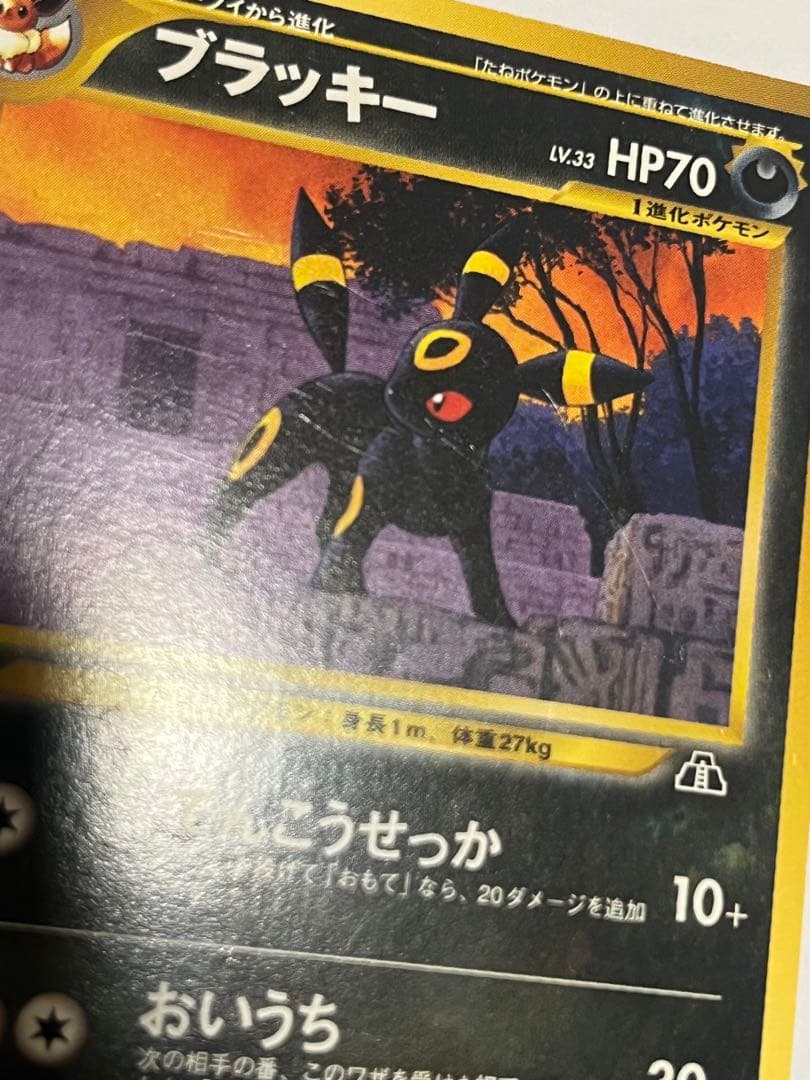 ブラッキー_プレミアムファイル2 ポケモンカード　旧裏