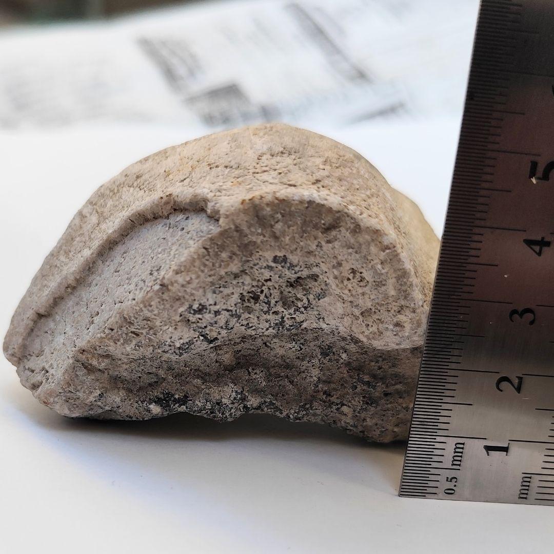 北投石約200g ラジウム hokutolite 玉川温泉ラドン放射線がん治療