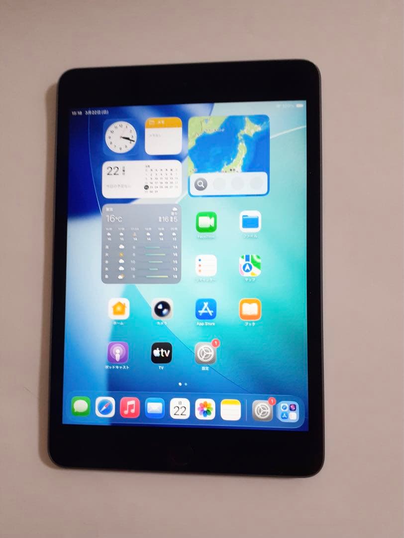 iPad mini5 第五世代 cellular 64GB スペースグレー