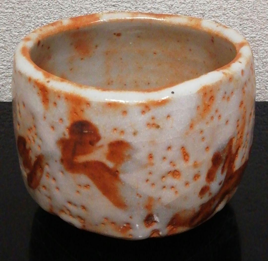 戸松万典　志野焼　絵志野　茶碗　共箱　共布　略歴付　茶道具