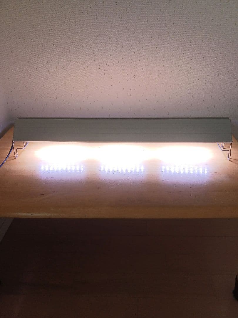 アクロトライアングル　 LED VIVID 600　水槽用LEDライト