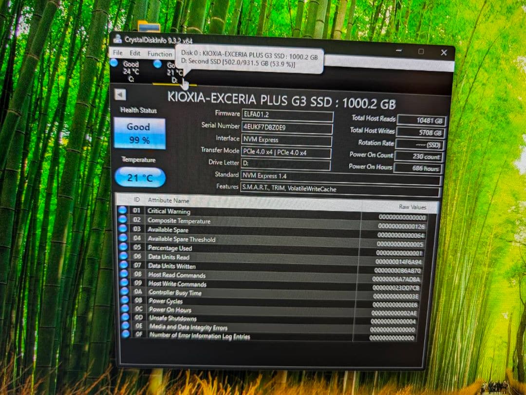 内蔵型SSD KIOXIA EXCERIA PLUS G3 1TB NVMe SSD