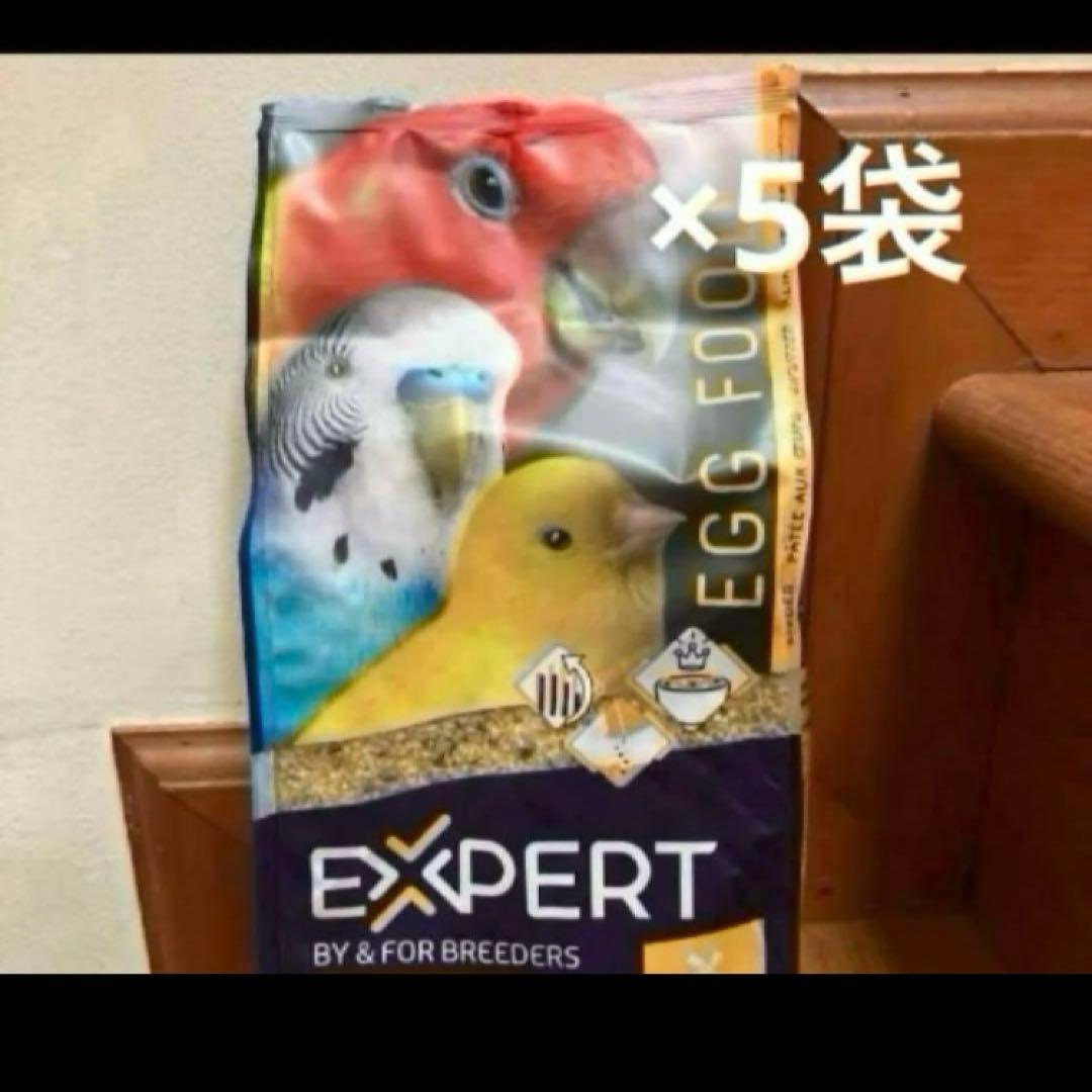 クリリン