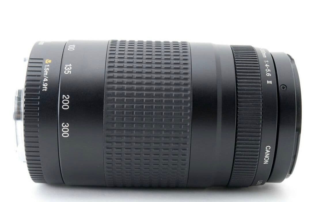 3月9日限定お値下げ【超望遠レンズ】Canon EF 75-300mm Ⅱ