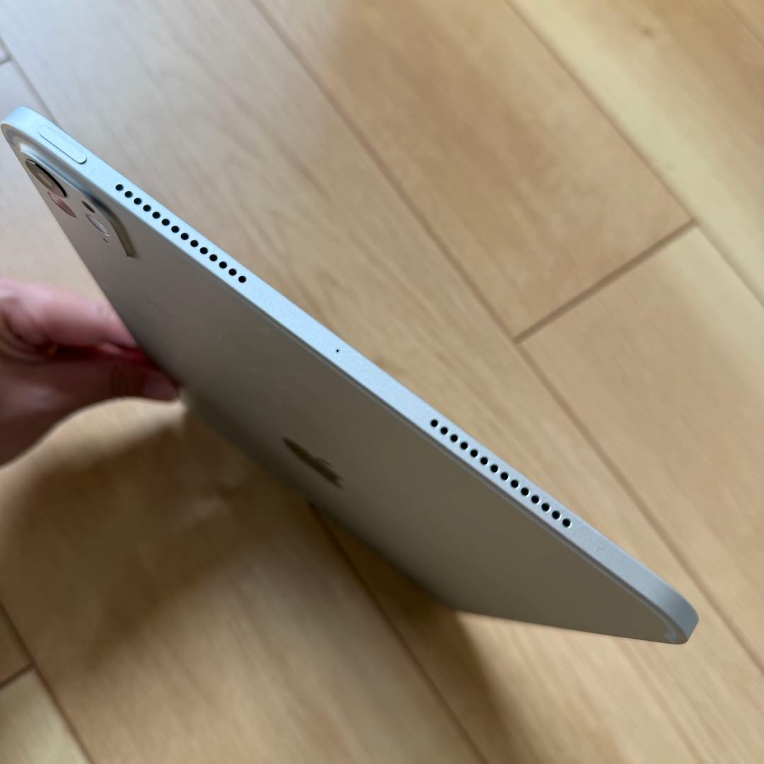 Apple Care+残有り 新品同様 M4 iPad Pro 11 シルバー