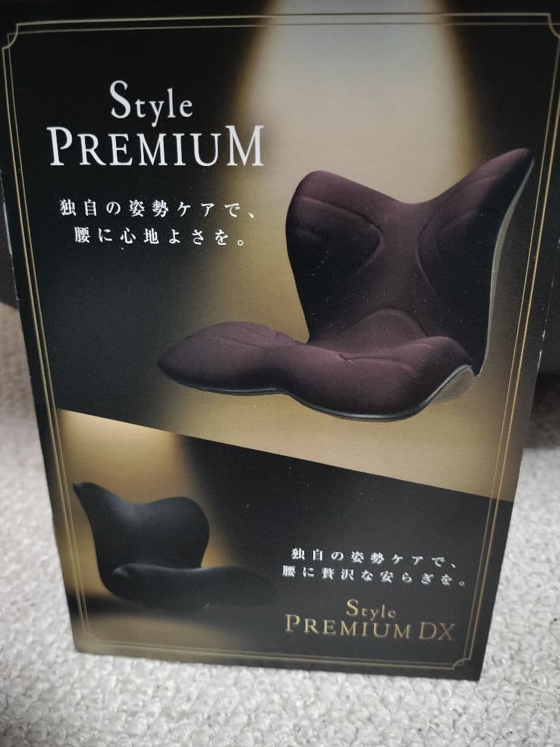 Style PREMIUM DX 骨盤サポート 腰痛改善