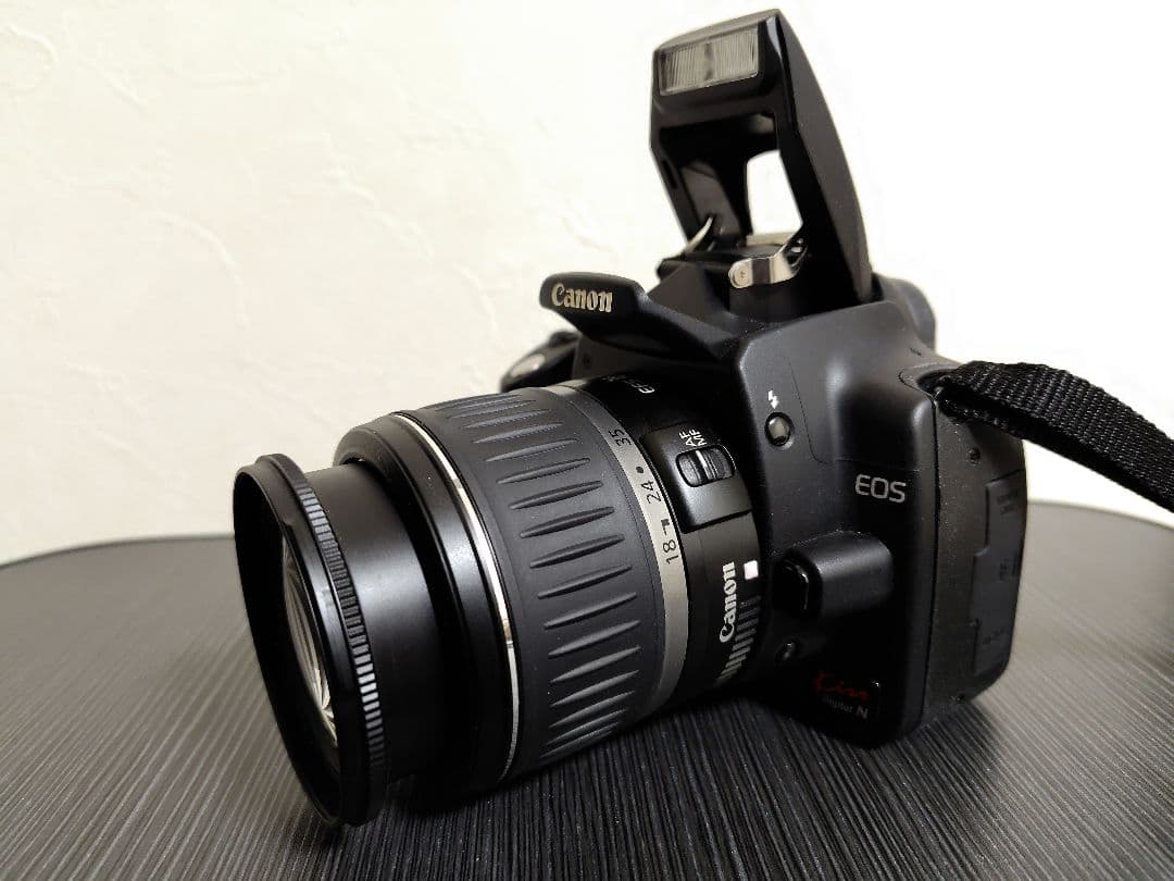 【動作確認済】Canon EOS Kiss Digital N 解説本付