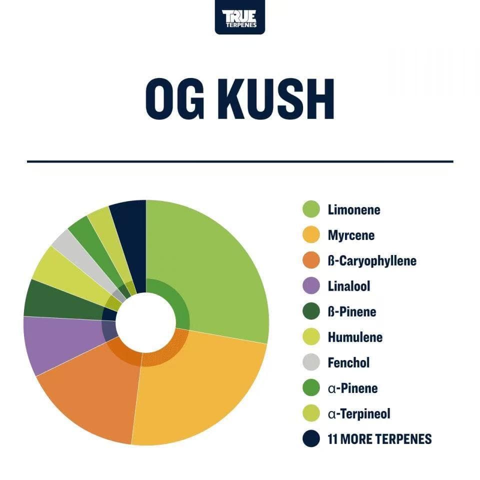 TRUE テルペン 香料 CBD CBN CBG 10ml オージークッシュ
